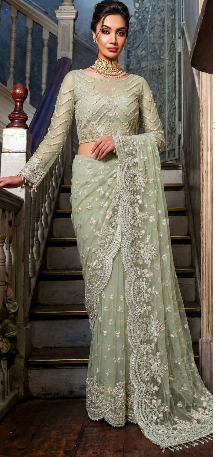 Exquisite net saree adorned with intricate embroidery featuring sequins, stones 5034