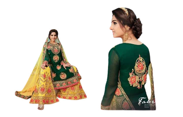 Geogrtte embroidery with net duppata